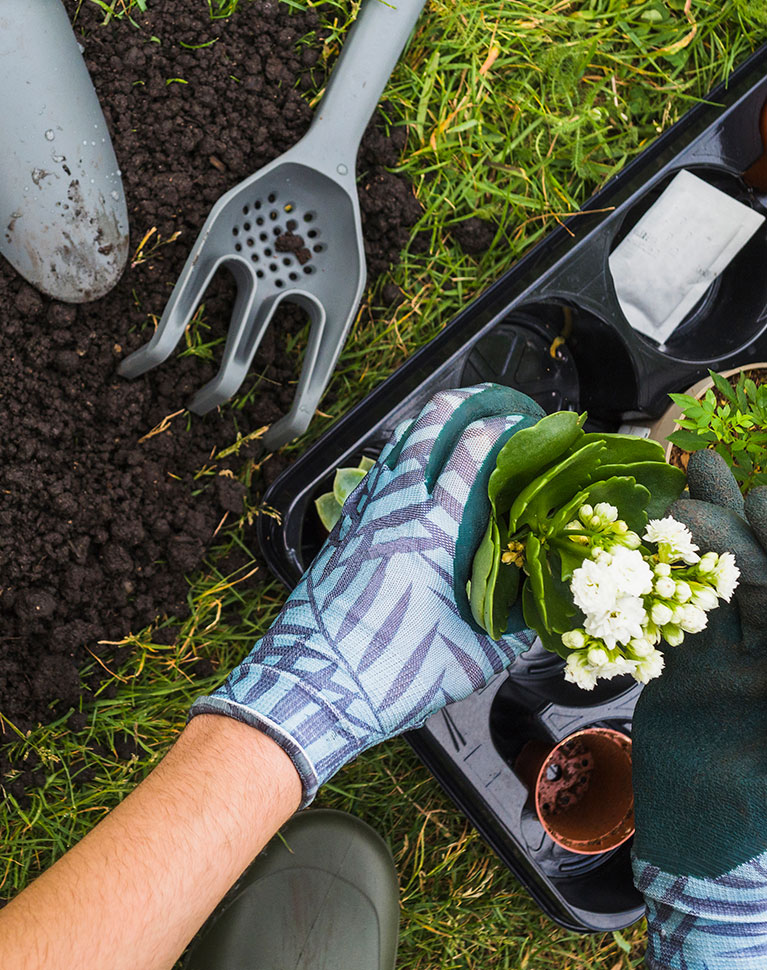 Jardinero plantando