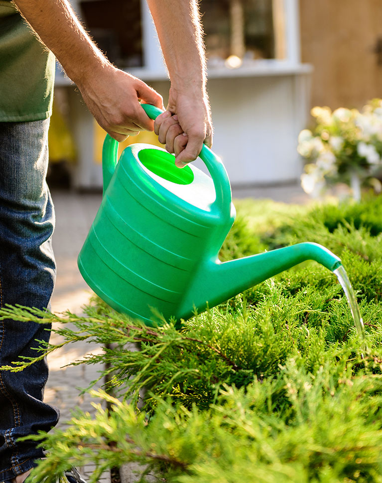 Regadera jardinería